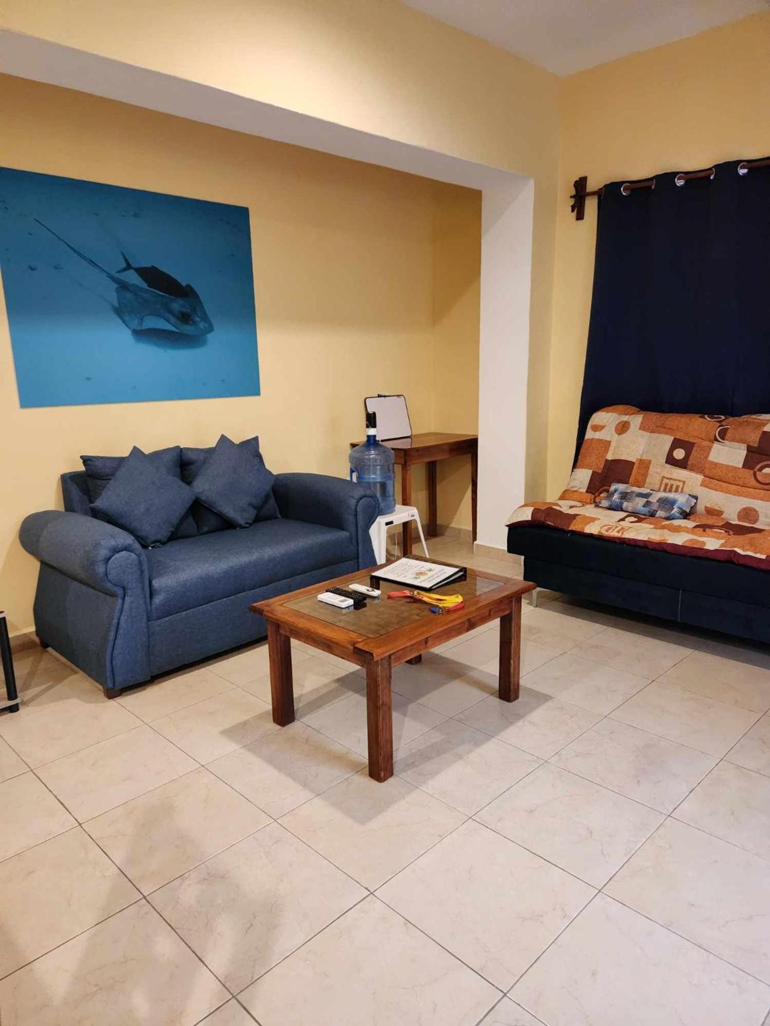 Coral Island Suites كوزوميل الغرفة الصورة
